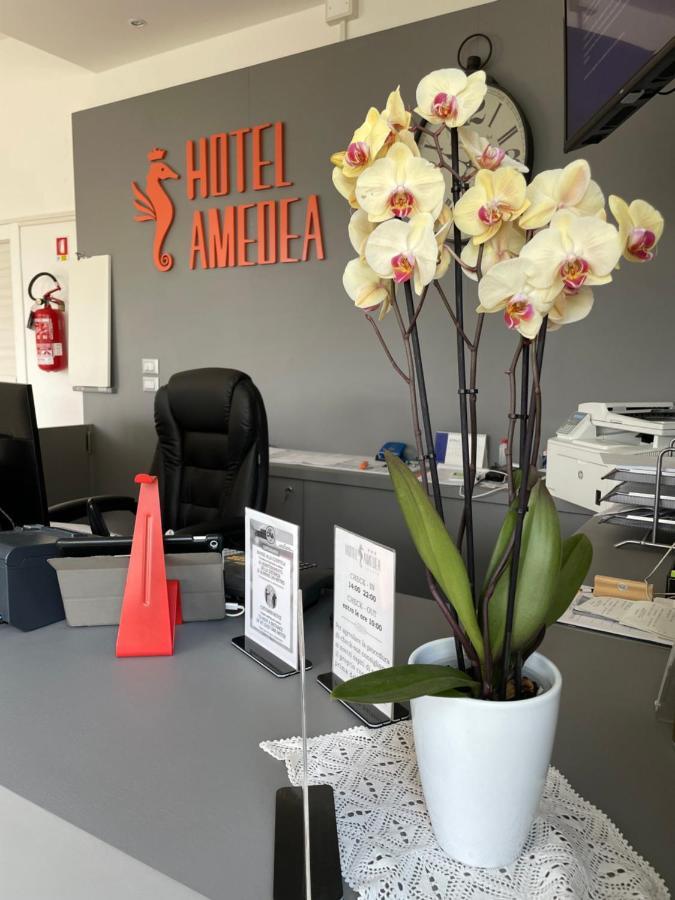 Hotel Amedea チェルヴィア エクステリア 写真